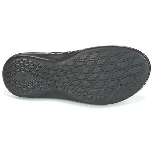 TBS Bassoa 7 TBS Bassoa - Imagen 7